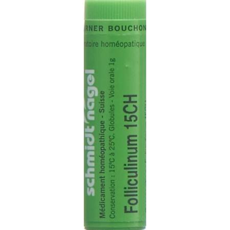 SN Folliculinum Glob CH 15 1g - PrimeCare Global