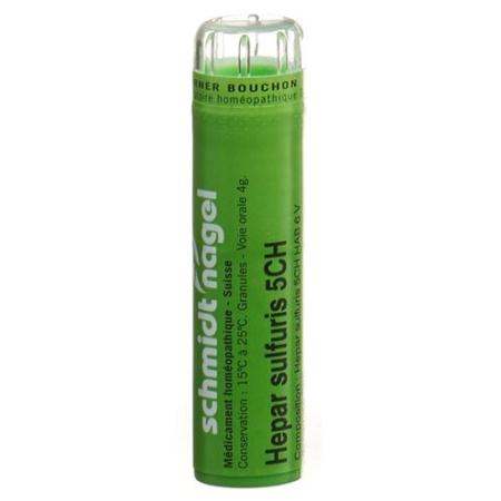 SN Hepar sulfuris Gran CH 5 4g - PrimeCare Global