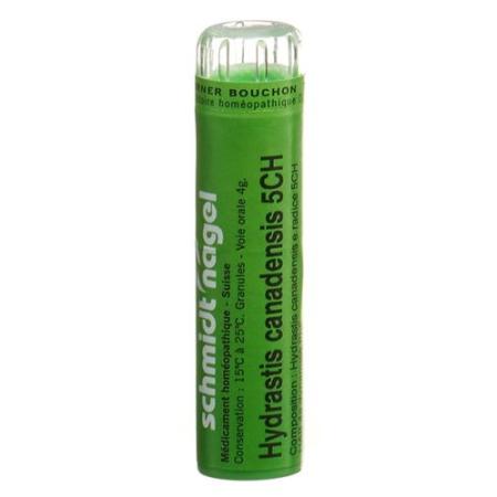 SN Hydrastis canadensis Gran CH 5 4g - PrimeCare Global