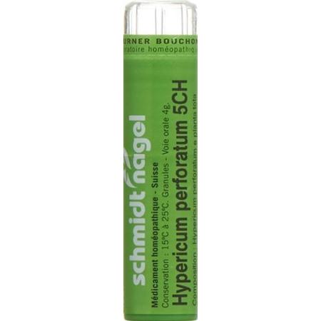 SN Hypericum perforatum Gran CH 5 4g - PrimeCare Global