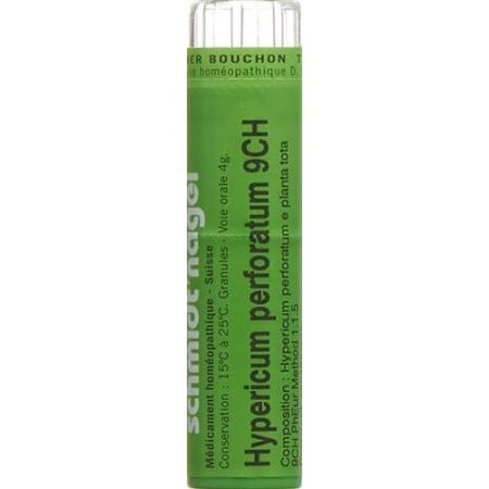 SN Hypericum perforatum Gran CH 9 4 g - PrimeCare Global