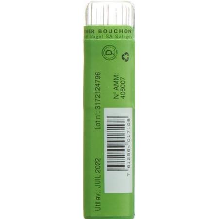 SN Ignatia amara Gran CH 9 4 g - PrimeCare Global