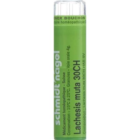 SN Lachesis muta Gran CH 30 4g - PrimeCare Global
