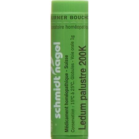 SN Ledum palustre Glob 200K 1g - PrimeCare Global