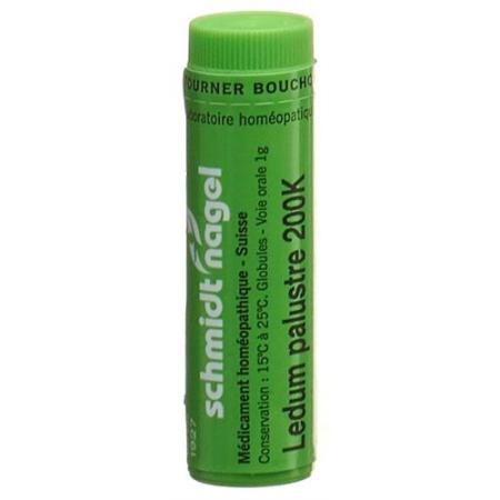 SN Ledum palustre Glob 200K 1g - PrimeCare Global