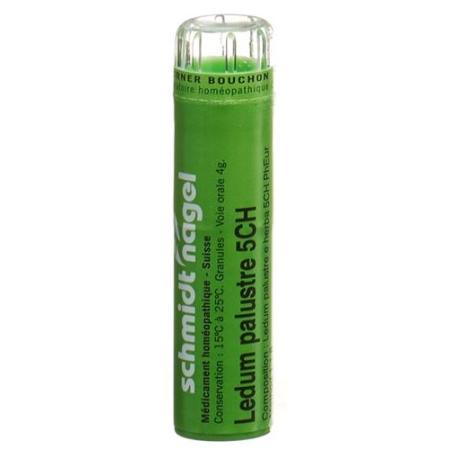 SN Ledum palustre Gran CH 5 4 g - PrimeCare Global