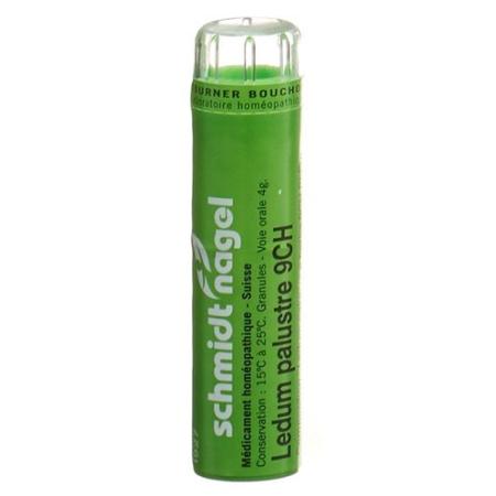 SN Ledum palustre Gran CH 9 4 g - PrimeCare Global