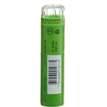 SN Nux vomica Gran CH 9 4g - PrimeCare Global