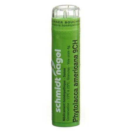 SN Phytolacca americana Gran CH 9 4 g - PrimeCare Global