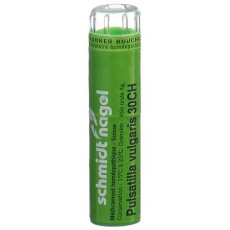 SN Pulsatilla vulgaris Gran CH 30 4g - PrimeCare Global