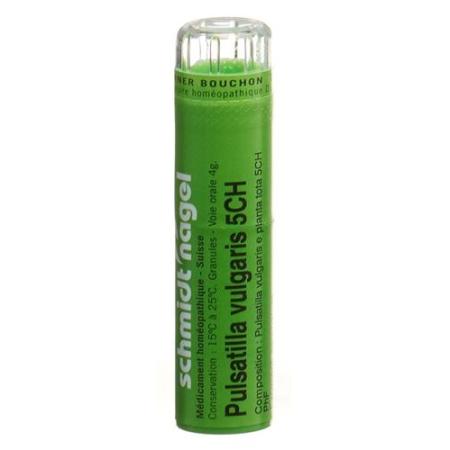 SN Pulsatilla vulgaris Gran CH 5 4g - PrimeCare Global