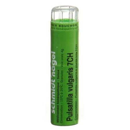 SN Pulsatilla vulgaris Gran CH 7 4g - PrimeCare Global