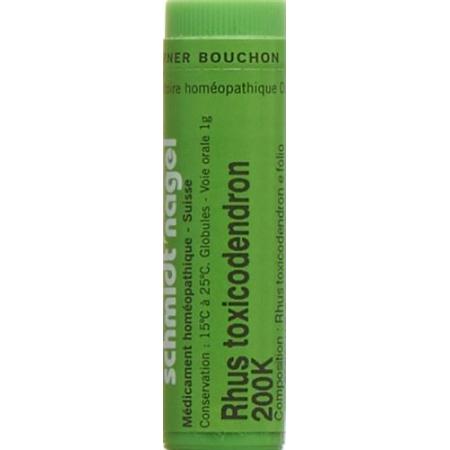 SN Rhus Toxicodendron Glob 200K 1g - PrimeCare Global