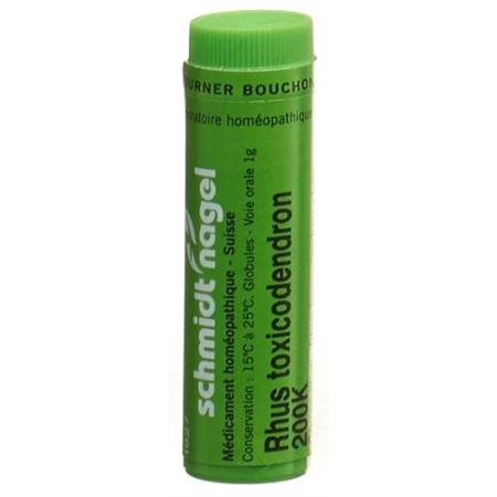 SN Rhus Toxicodendron Glob 200K 1g - PrimeCare Global