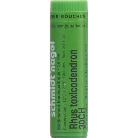 SN Rhus Toxicodendron Glob CH 30 1g - PrimeCare Global