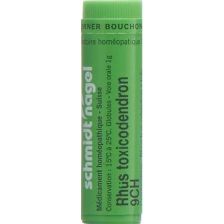 SN Rhus Toxicodendron Glob CH 9 1g - PrimeCare Global