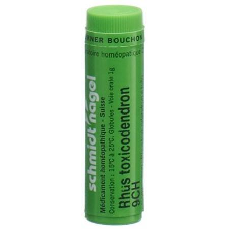 SN Rhus Toxicodendron Glob CH 9 1g - PrimeCare Global