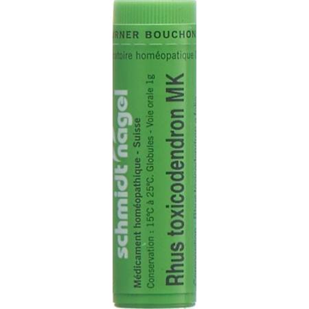 SN Rhus Toxicodendron Glob MK 1 g - PrimeCare Global