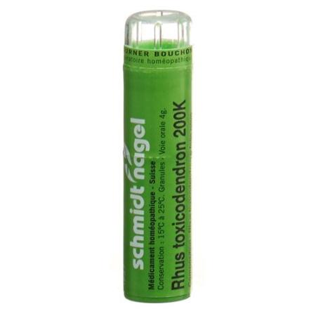 SN Rhus Toxicodendron Gran 200 K 4 g - PrimeCare Global