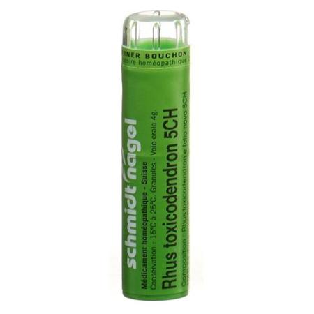 SN Rhus Toxicodendron Gran CH 5 4 g - PrimeCare Global