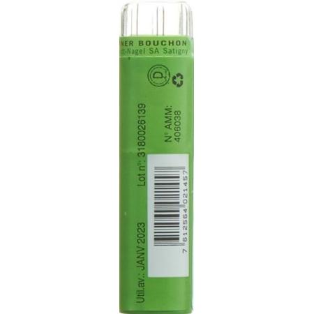 SN Rhus Toxicodendron Gran CH 9 4 g - PrimeCare Global