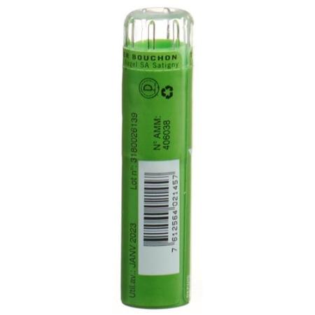 SN Rhus Toxicodendron Gran CH 9 4 g - PrimeCare Global