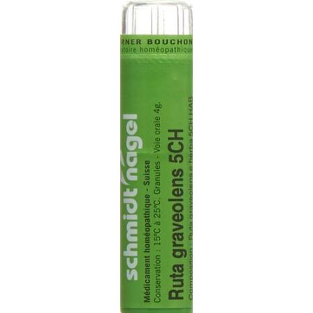 SN Ruta graveolens Gran CH 5 4 g - PrimeCare Global