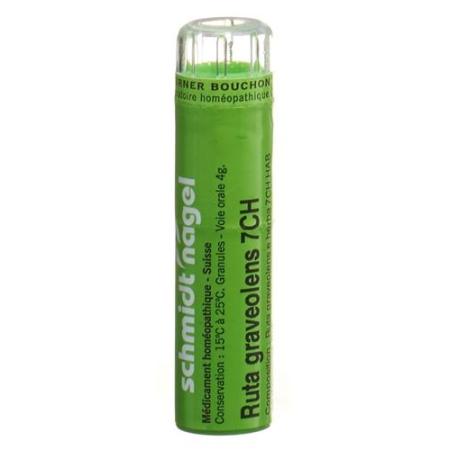 SN Ruta graveolens Gran CH 7 4 g - PrimeCare Global