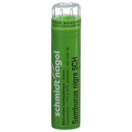 SN Sambucus nigra Gran CH 5 4 g - PrimeCare Global