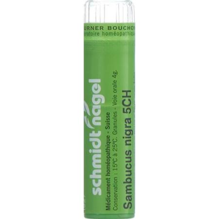 SN Sambucus nigra Gran CH 5 4 g - PrimeCare Global