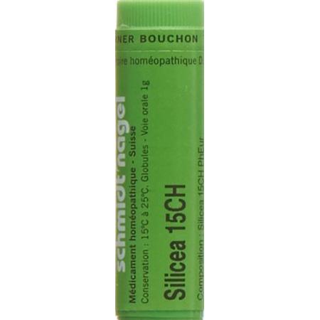 SN Silicea Glob CH 15 1g - PrimeCare Global