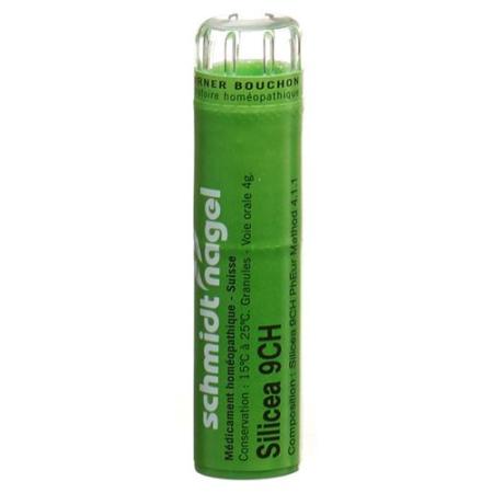 SN Silicea Gran CH 9 4g - PrimeCare Global