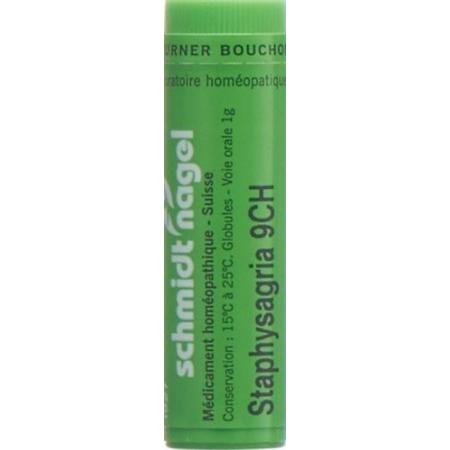 SN Staphysagria Glob CH 9 1g - PrimeCare Global