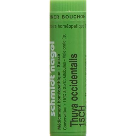 SN Thuya occidentalis Glob CH 15 1 g - PrimeCare Global