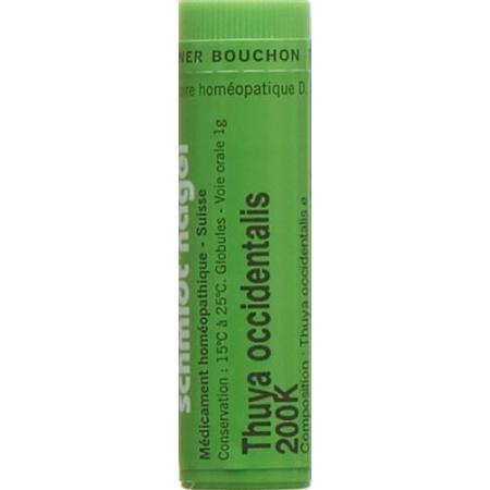 SN Thuya occidentalis Glob 200K 1g - PrimeCare Global