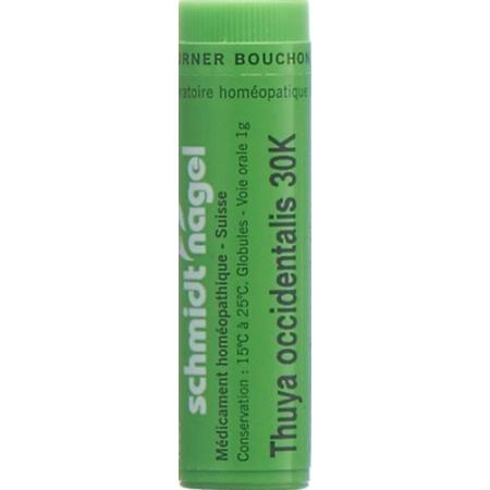 SN Thuya occidentalis Glob 30K 1g - PrimeCare Global