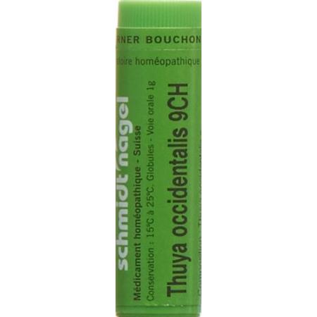 SN Thuya occidentalis Glob CH 9 1g - PrimeCare Global