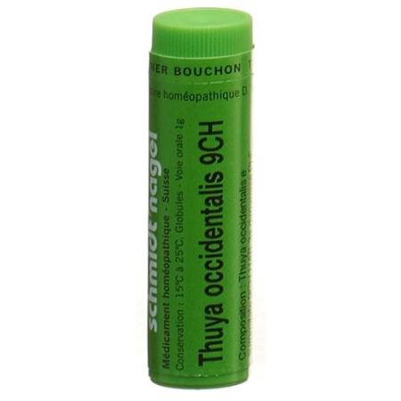 SN Thuya occidentalis Glob CH 9 1g - PrimeCare Global