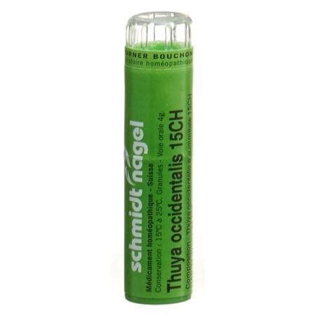 SN Thuya occidentalis Gran CH 15 4 g - PrimeCare Global