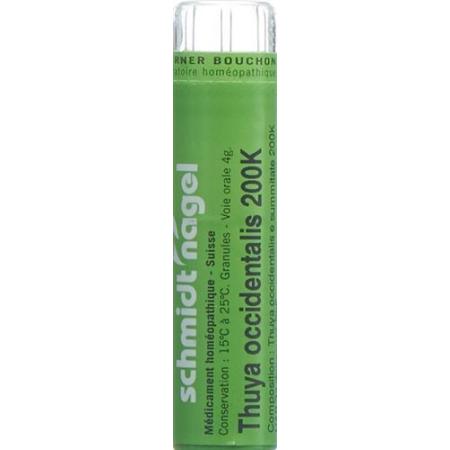 SN Thuya occidentalis Gran 200K 4 g - PrimeCare Global