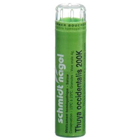 SN Thuya occidentalis Gran 200K 4 g - PrimeCare Global