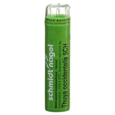 SN Thuya occidentalis Gran CH 5 4 g - PrimeCare Global