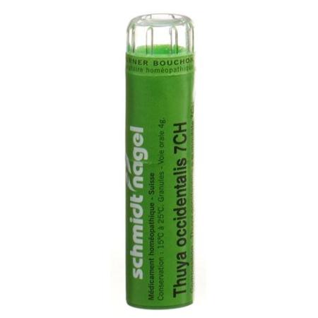 SN Thuya occidentalis Gran CH 7 4 g - PrimeCare Global