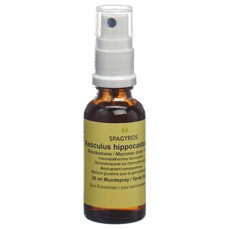 Spagyros Gemmo Aesculus hippocastanum Glyc Maz D 1 30 ml - PrimeCare Global
