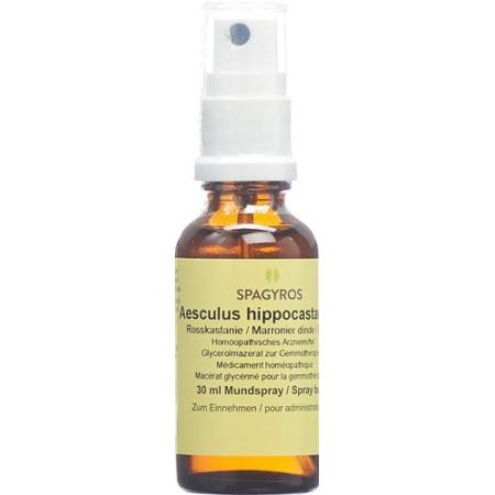 Spagyros Gemmo Aesculus hippocastanum Glyc Maz D 1 30 ml - PrimeCare Global