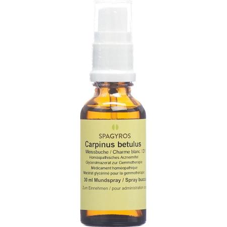 Spagyros Gemmo Carpinus betulus Glyc Maz D 1 30 ml - PrimeCare Global