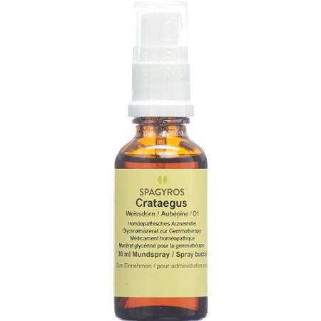 Spagyros Gemmo Crataegus laevi Glyc Maz D 1 30 ml - PrimeCare Global