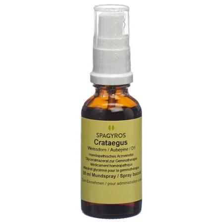 Spagyros Gemmo Crataegus laevi Glyc Maz D 1 30 ml - PrimeCare Global