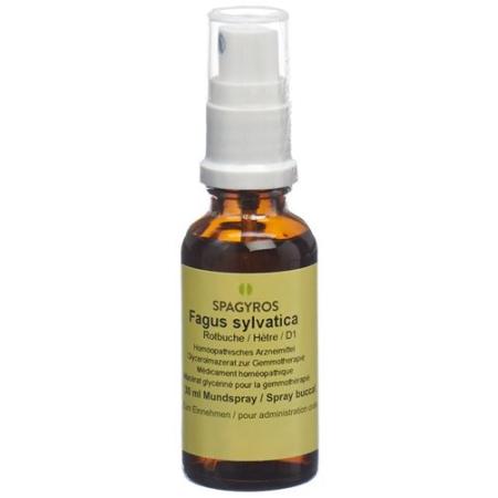 Spagyros Gemmo Fagus sylvatica Glyc Maz D 1 30 ml - PrimeCare Global