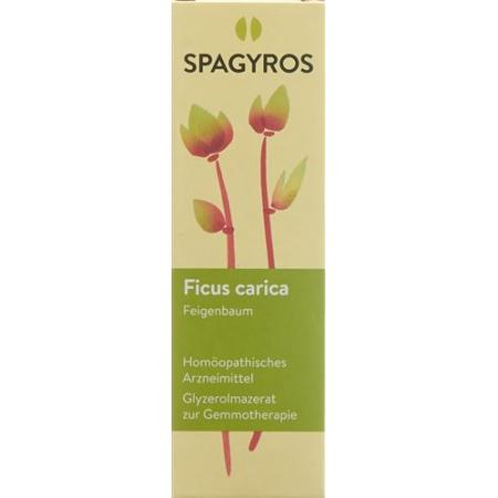 Spagyros Gemmo Ficus carica Glyc Maz D 1 30 ml - PrimeCare Global